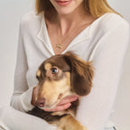 Lumi Dachshund Crystal Pendant Necklace